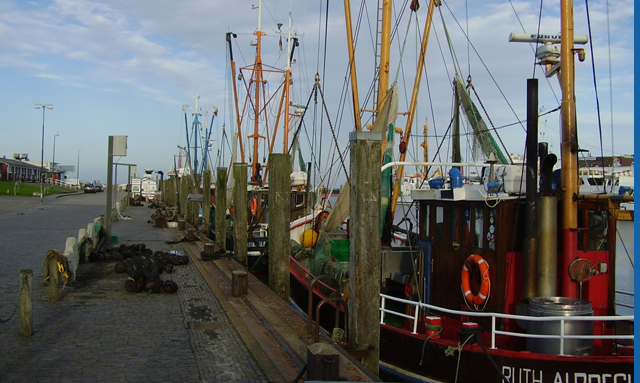 Hafen